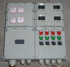 BXMD51隔爆型防爆配电箱 工业安全配电的专业守护者